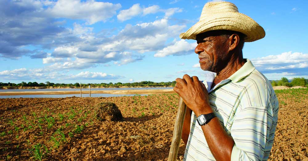 Aposentadoria com tempo rural: guia completo e atualizado para somar lavoura e CNIS no INSS - Larissa Brune Advogada - Soluções Jurídicas Ágeis e Seguras e transparentes.